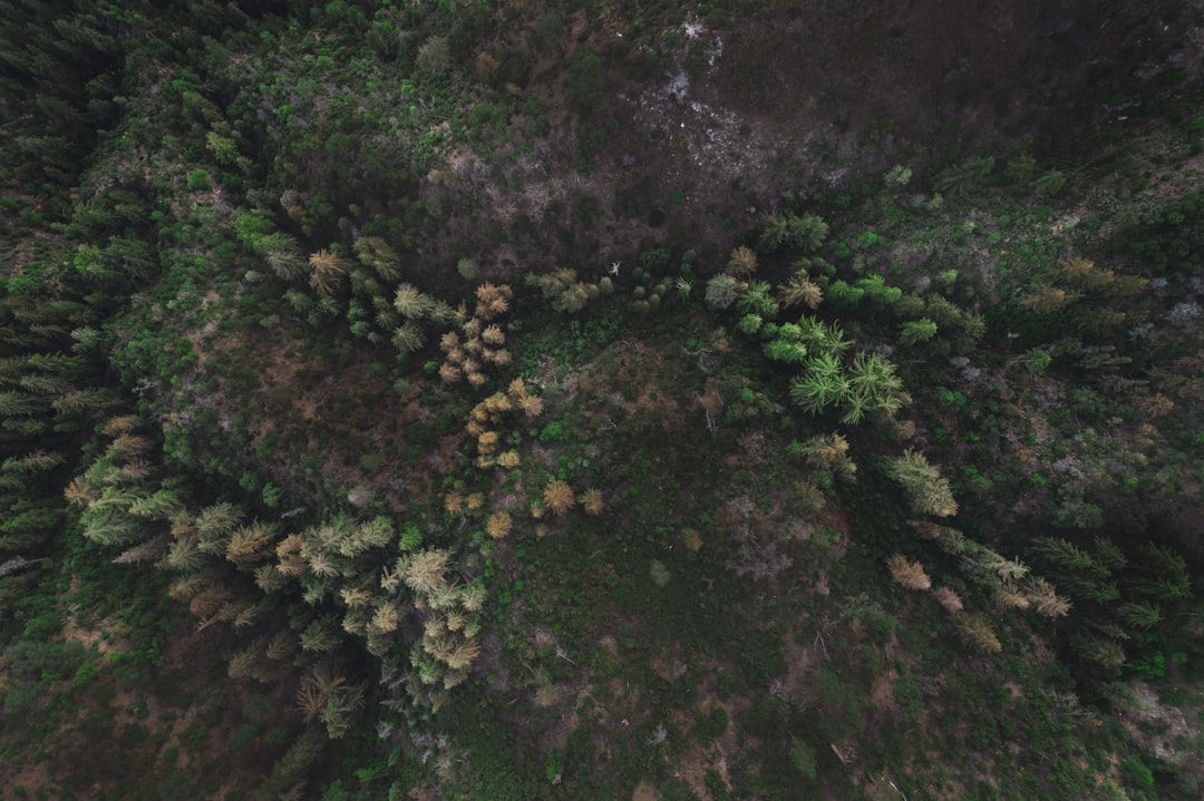 You are currently viewing Nature’s Healing Power: The Benefits of Outdoor Therapy