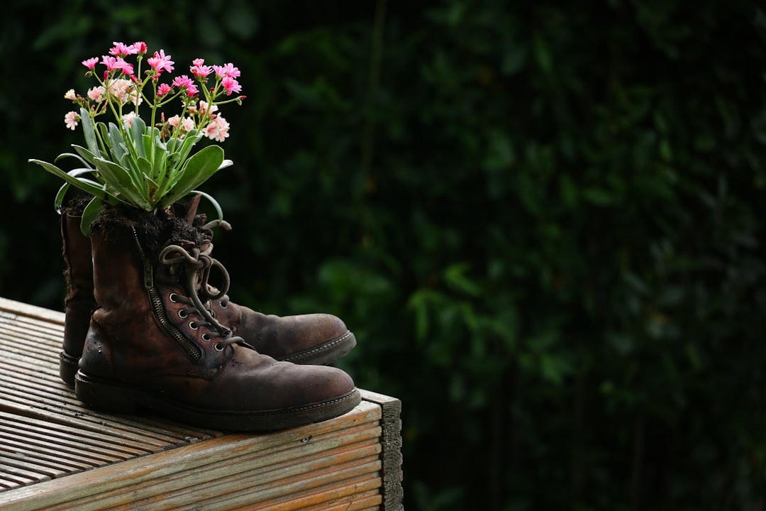You are currently viewing Finding Inner Peace: Meditation Retreats for Mindful Escapes