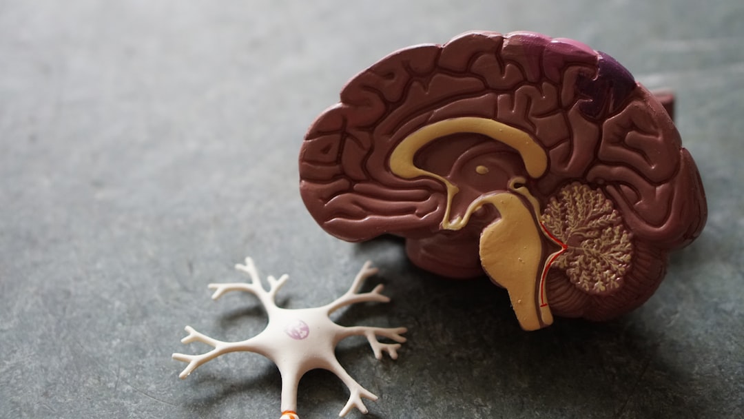 You are currently viewing The Neurobiology of Relapse: Understanding Triggers
