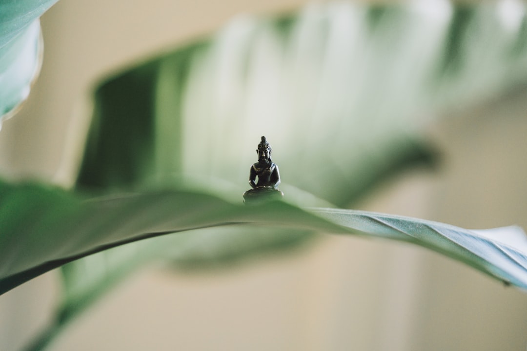 You are currently viewing Finding Peace Through Recovery Work